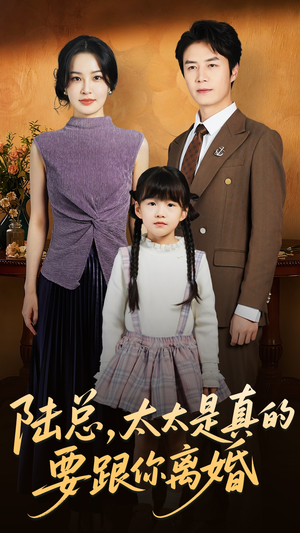 陆总太太是真的要跟你离婚（52集）追短剧看全集