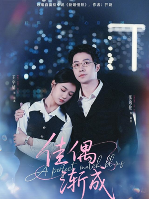 佳偶渐成(71集) 佳偶渐成(71集)免费看全网短剧