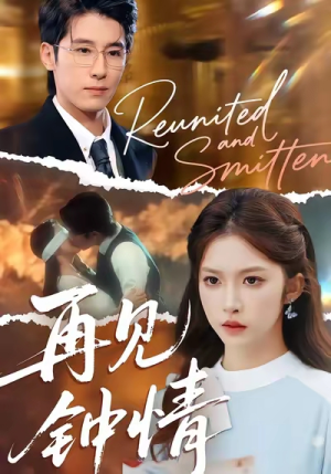 再见钟情(100集) 再见钟情(100集)看过的人都说好