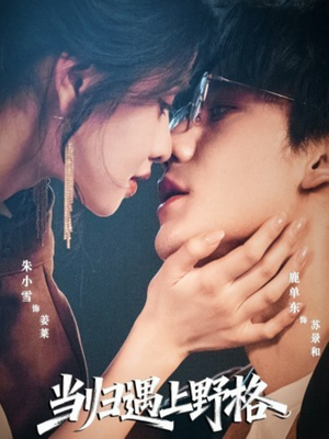 当归遇上野格(66集) 当归遇上野格(66集)短视频追剧推荐