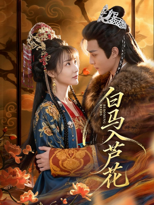 白马入芦花(59集) 白马入芦花(59集)全集