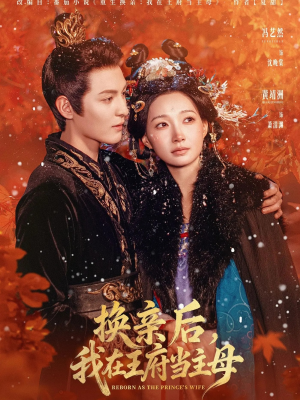 换亲后,我在王府当主母(80集) 换亲后,我在王府当主母(80集)短剧追不停