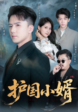 护国小婿(60集) 护国小婿(60集)在哪个平台看