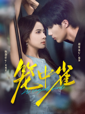 笼中雀(65集) 笼中雀(65集)短剧热播中