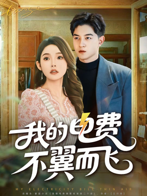我的电费不翼而飞(60集) 我的电费不翼而飞(60集)短剧解说全集