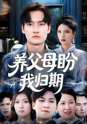 养父母盼我归期（72集）在线观看全集