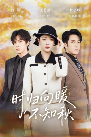 时归向暖不知秋（51集）最火短剧热播