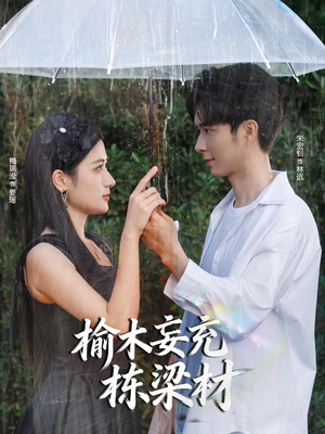 榆木妄充栋梁材（88集）经典老剧免费看