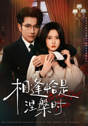 相逢恰是涅槃时（63集）爆火短剧抢先看