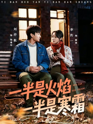 一半是火焰一半是寒霜（60集）短剧小说在线看