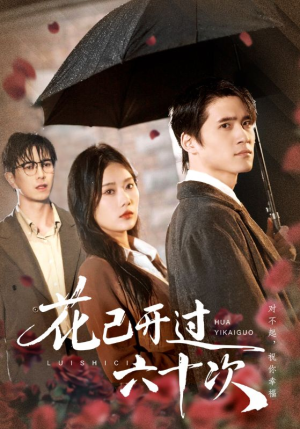 情敌交手她选择躺赢（72集）免费短剧完整版