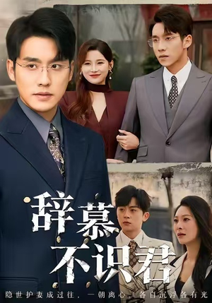 辞慕不识君（77集）看到大结局