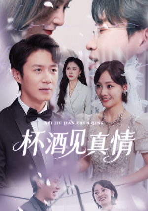 杯酒见真情（68集）看短剧放松一下