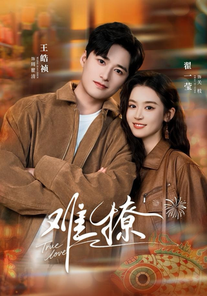 难撩(100集) 难撩(100集)追风的女孩短剧