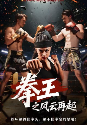 拳王之风云再起（50集）高分推荐免费看