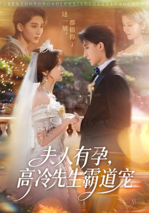 夫人有孕，高冷先生霸道宠（60集）UC网盘在线看