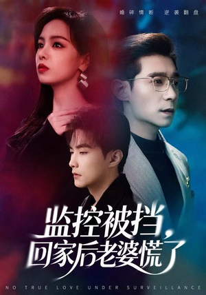监控被挡，回家后老婆慌了（60集）在线看