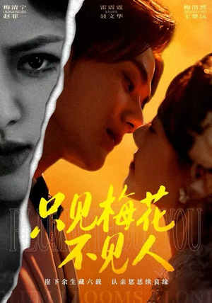 只见梅花不见人（63集）在线免费观看