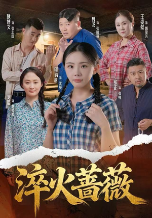 淬火蔷薇（50集）全集下载