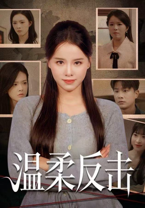 温柔反击（66集）360网盘观看