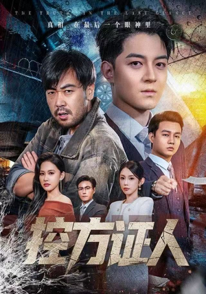 控方证人(75集) 控方证人(75集)完整版免费观看