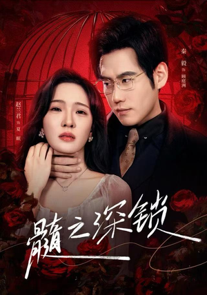 髓之深锁（84集）全集一网打尽