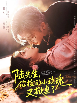 陆先生，你捡的小玫瑰又掀桌了（74集）好看短剧又来了