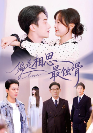 烬爱无归处（70集）精彩短剧追不停