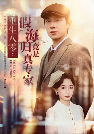 重生八零：假海归竟是真专家（65集）高清无码免费看