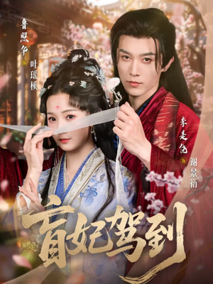 盲妃驾到（65集）热门短剧又来了