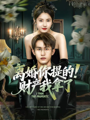 离婚你提的！财产我拿了（63集）夸克网盘观看