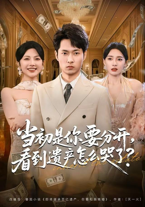 当初是你要分开，看到遗产怎么哭了？（70集）热门短剧推广