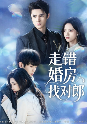 走错婚房找对郎（50集）超火短剧抢先看