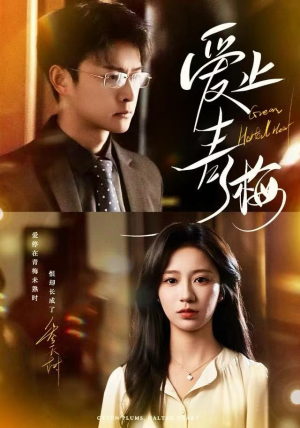 爱止青梅（60集）推荐你们也去看