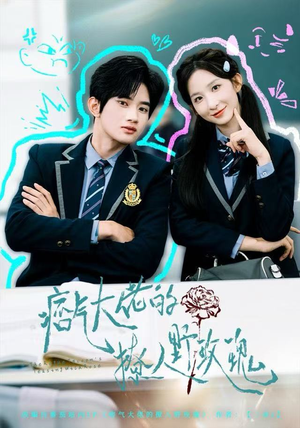 痞气大佬的撩人野玫瑰（80集）热播短剧追不停