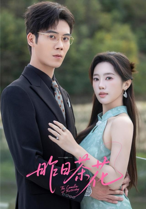 昨日茶花（56集）短剧后续更精彩