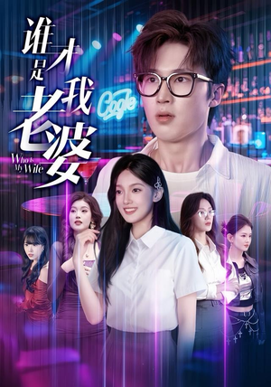 谁才是我老婆（78集）全集下载