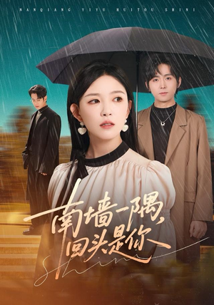 南墙一隅，回头是你（61集）网上可以看吗