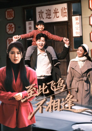 至此飞鸟不相逢(70集) 至此飞鸟不相逢(70集)热门短剧推广