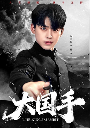 大国手（76集）免费看短剧全集