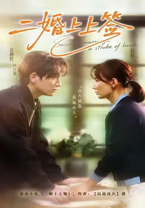 二婚上上签（71集）今日短剧分享