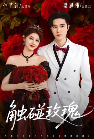 触碰玫瑰（80集）短剧全集免费看