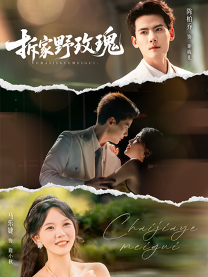 拆家野玫瑰（80集）第二季