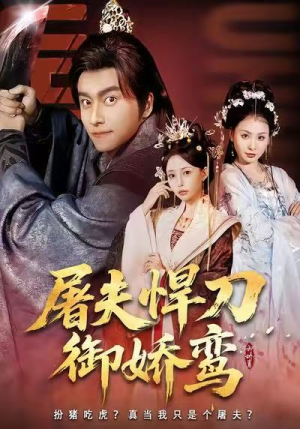 屠夫悍刀御娇鸾（81集）免费短剧资源