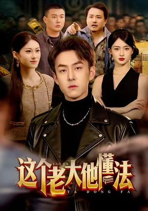 这个老大他懂法（100集）在哪里可以看