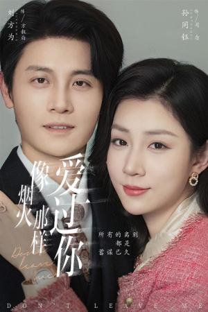 像烟火那样爱过你（62集）在线看免费版