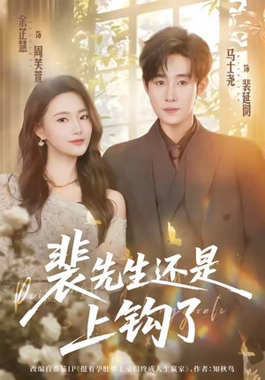 裴先生还是上钩了（62集）精彩短剧看不停