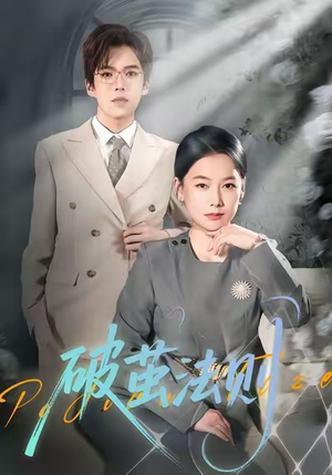 破茧法则（66集）经典老剧免费看