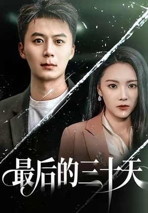 最后的三十天（52集）在线观看全集