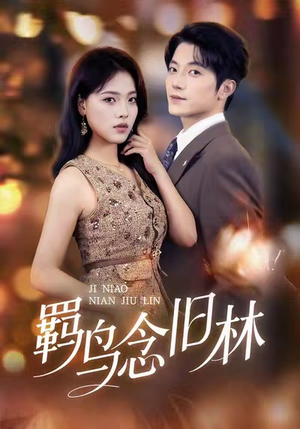 羁鸟念旧林（60集）免费短剧片段
